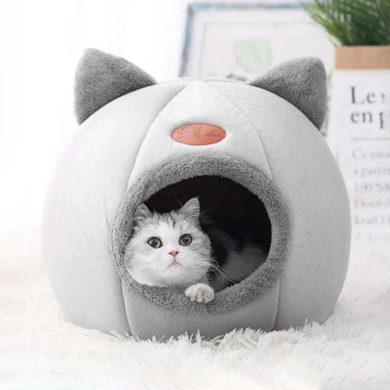 Pack Todo Gatuno: 3 Pelotas + Peine + Cama