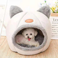 Pack Todo Gatuno: 3 Pelotas + Peine + Cama — foto 7